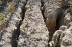 Extreme water erosion in a maize field. Photo courtesy of Borivoj Sarapatka. 